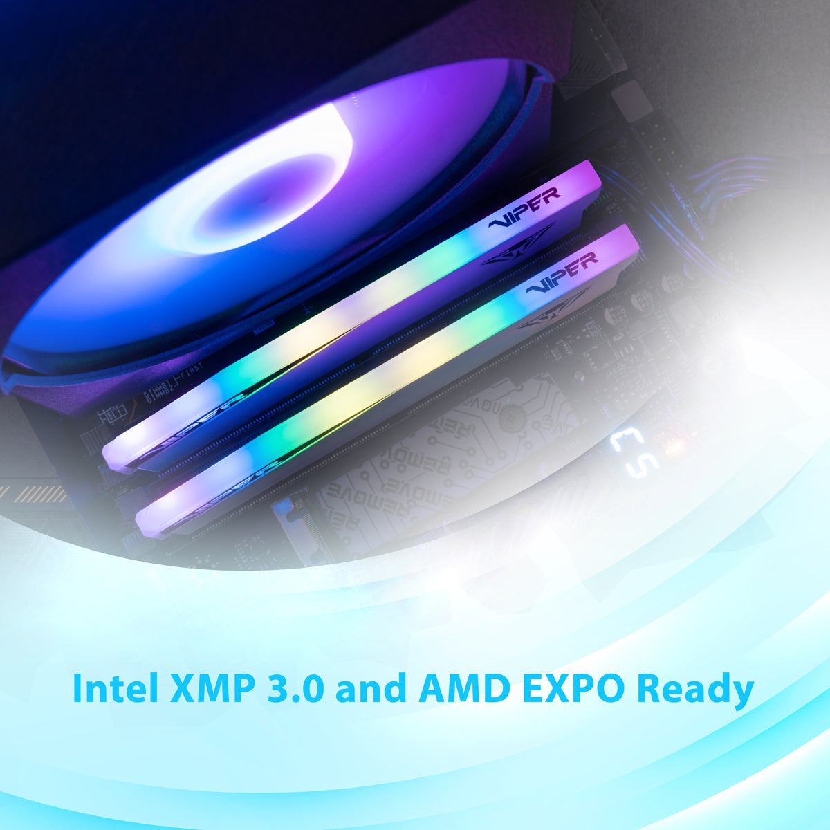 Memoria RAM Viper Elite 5 DDR5 16GB 5600MHz