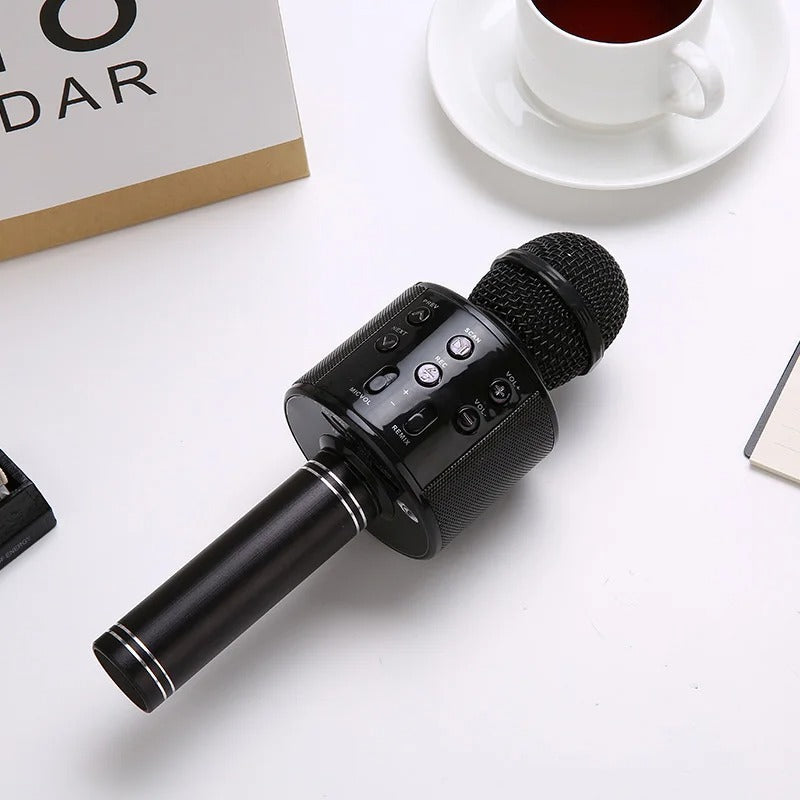 MICROFONO KARAOKE DS813