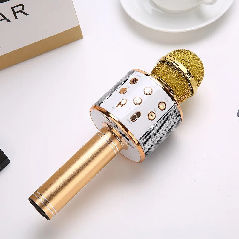 MICROFONO KARAOKE DS813