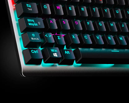 Teclado Mecánico 100% Switch Rojos - Primus Ballista 91T