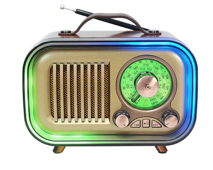 Radio Parlante MD 1316