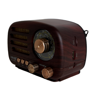 Radio AM y FM Parlante Bluetooth Vintage NS-8100BT - Tienvir