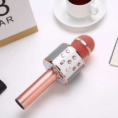 MICROFONO KARAOKE DS813 - Tienvir