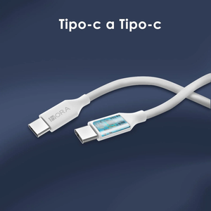Adaptador Tipo C Carga Rápida Cargador con Cable Tipo C GAR 147